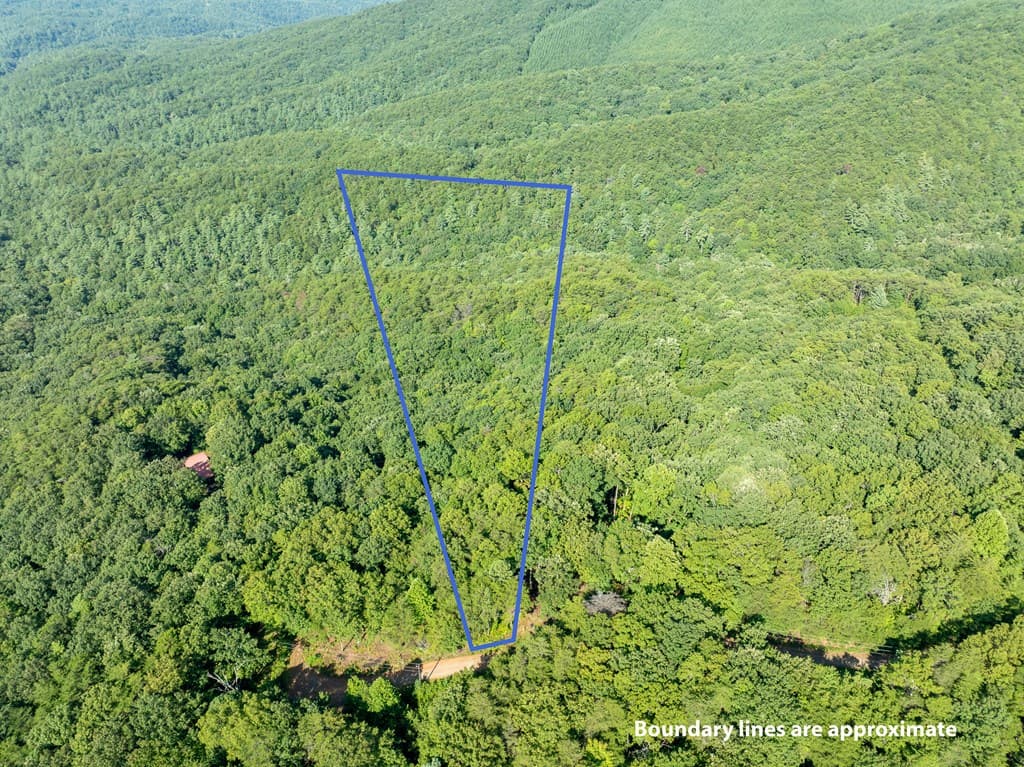 Lot 9 Brushy Top Drive, Chatsworth GA 30705 - Photo