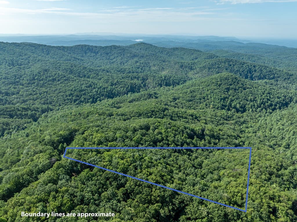 Lot 9 Brushy Top Drive, Chatsworth GA 30705 - Photo