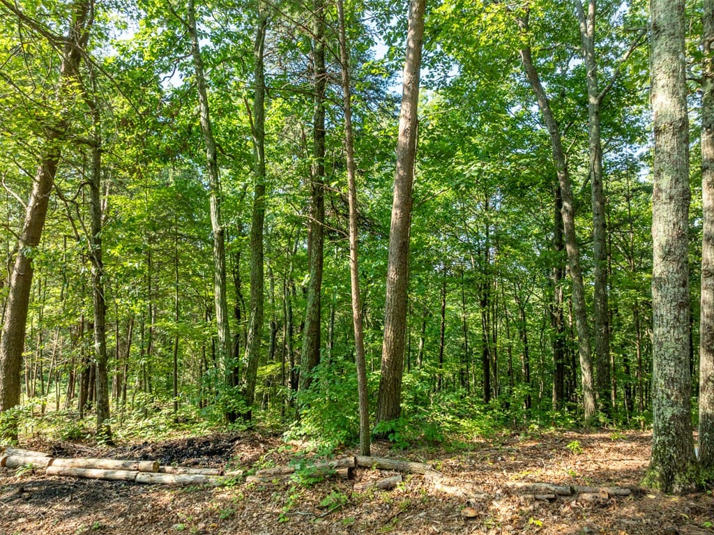 Lot 9 Brushy Top Drive, Chatsworth GA 30705 - Photo