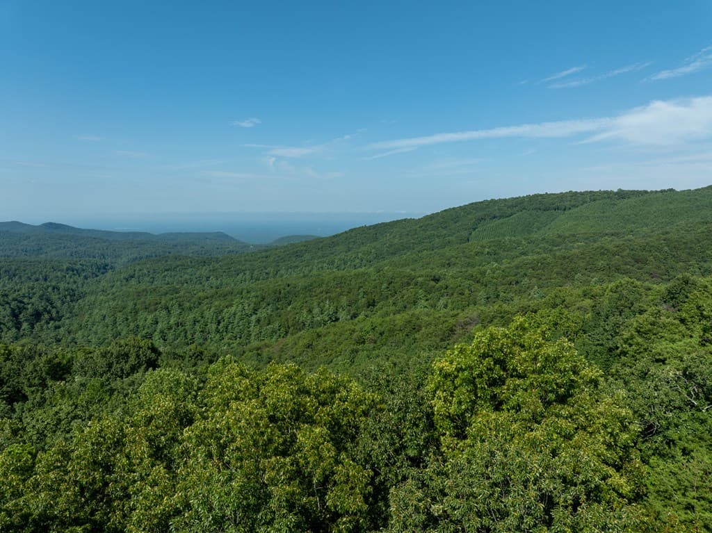 Lot 9 Brushy Top Drive, Chatsworth GA 30705 - Photo
