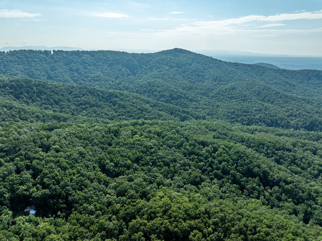 Lot 9 Brushy Top Drive, Chatsworth GA 30705 - Photo