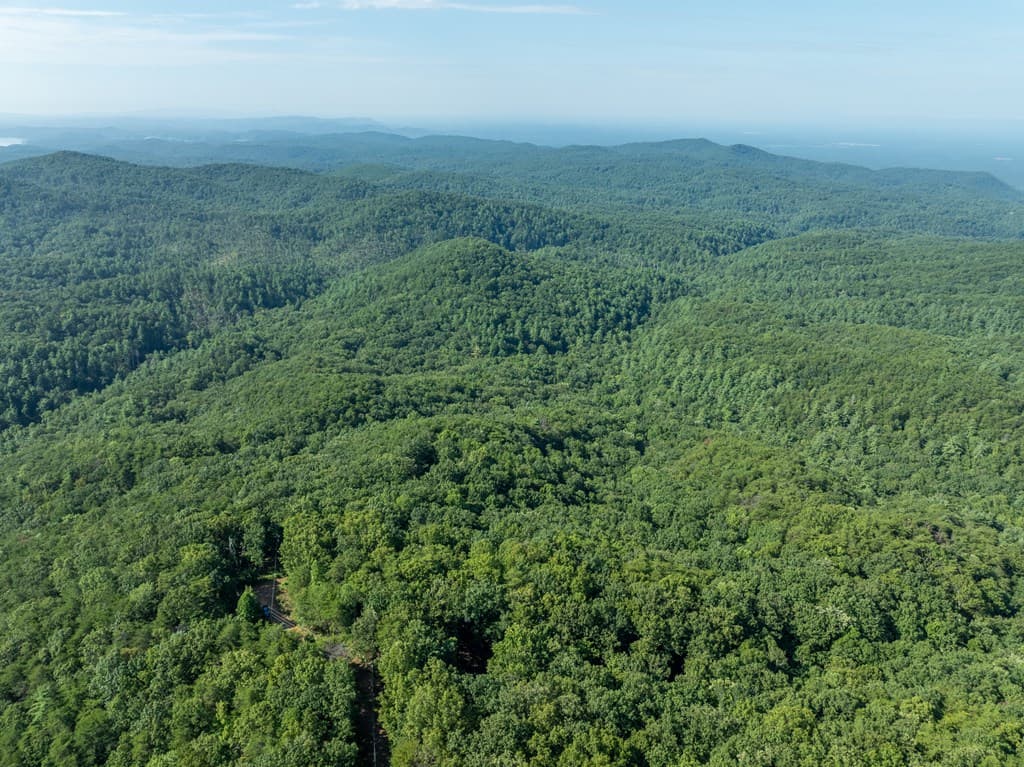 Lot 9 Brushy Top Drive, Chatsworth GA 30705 - Photo