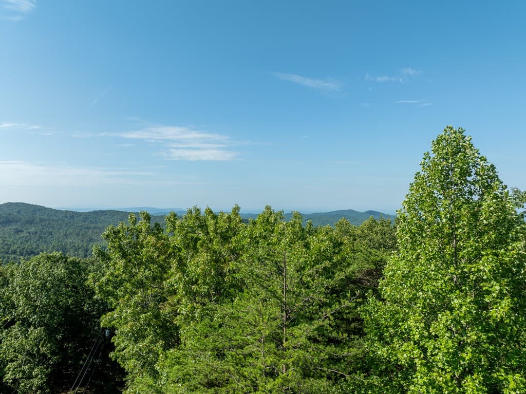 Lot 9 Brushy Top Drive, Chatsworth GA 30705 - Photo