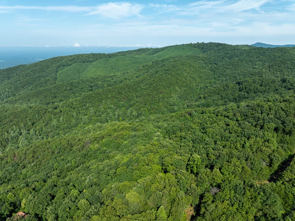 Lot 9 Brushy Top Drive, Chatsworth GA 30705 - Photo
