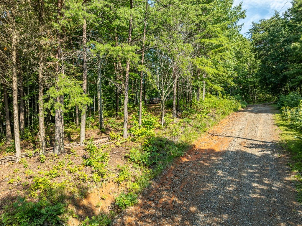 Lot 9 Brushy Top Drive, Chatsworth GA 30705 - Photo