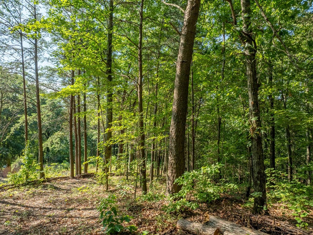 Lot 9 Brushy Top Drive, Chatsworth GA 30705 - Photo