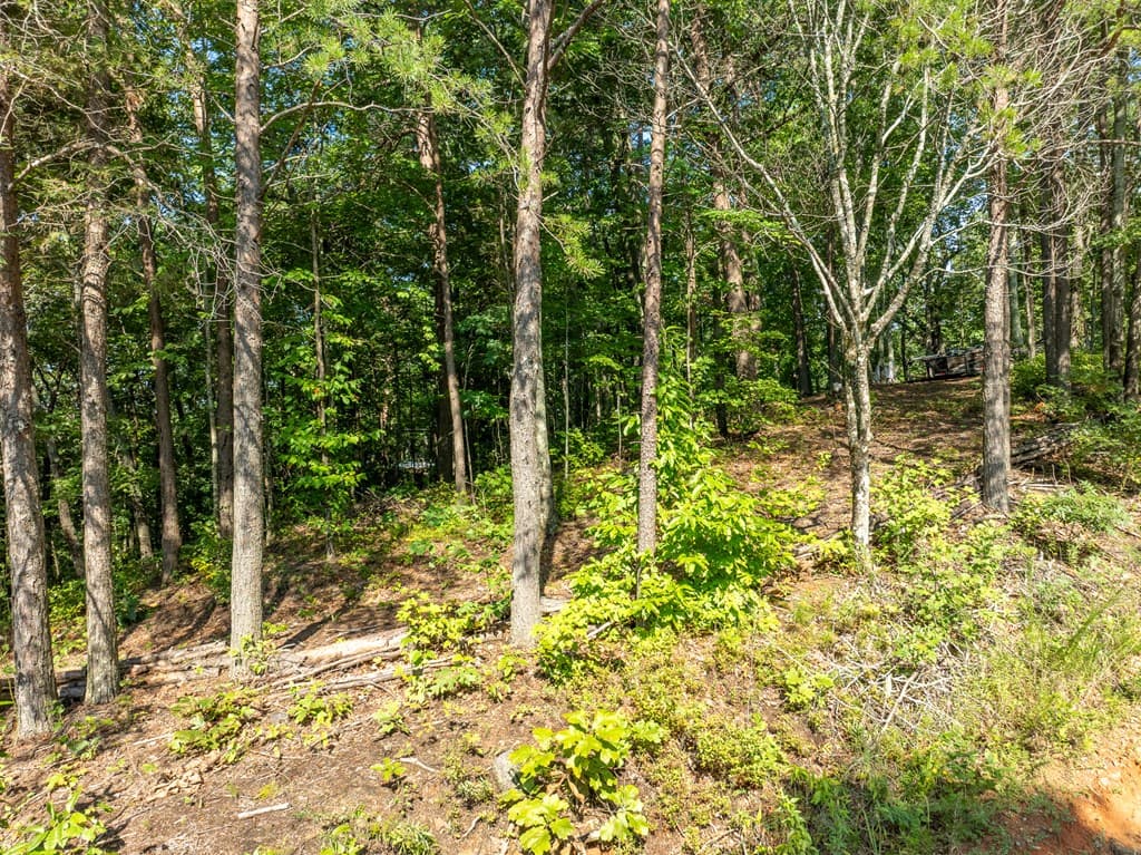 Lot 9 Brushy Top Drive, Chatsworth GA 30705 - Photo