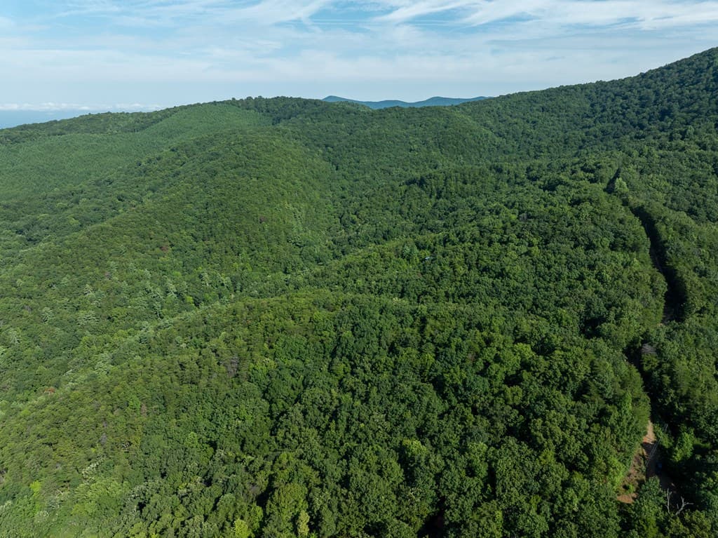 Lot 9 Brushy Top Drive, Chatsworth GA 30705 - Photo