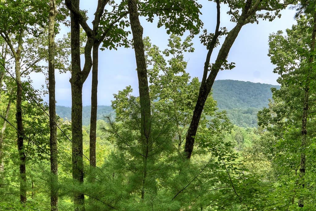 270 Walnut Mountain Road, Ellijay GA 30540 - Photo