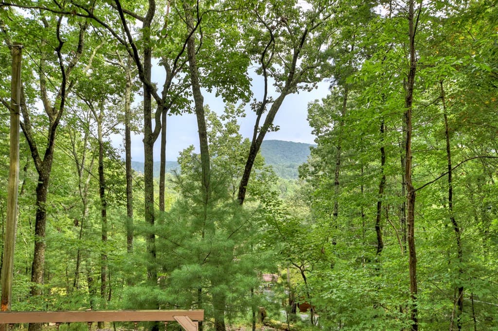 270 Walnut Mountain Road, Ellijay GA 30540 - Photo