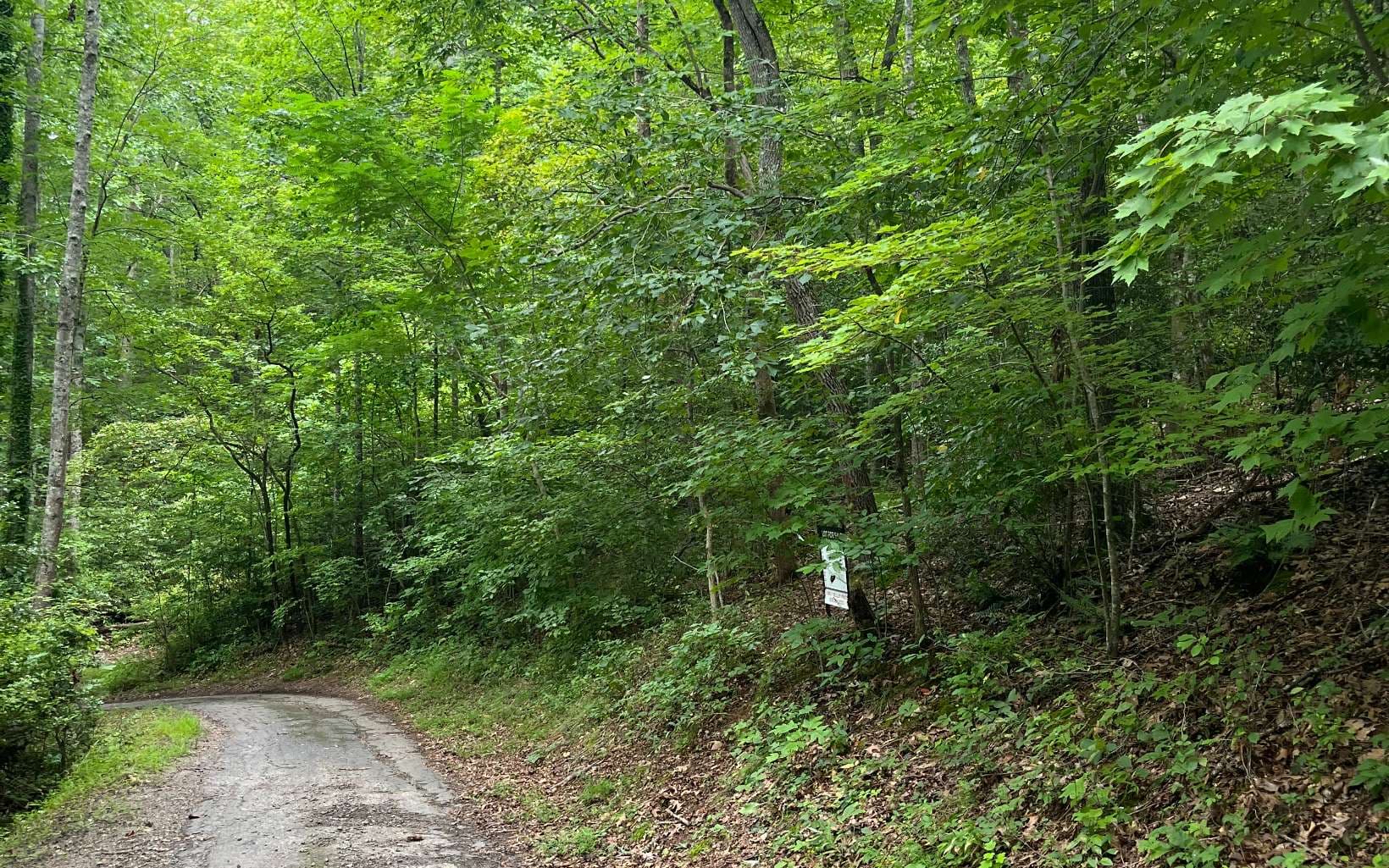 LOT 12 Kilpatrick Point Terrace, Hayesville NC 28904 - Photo
