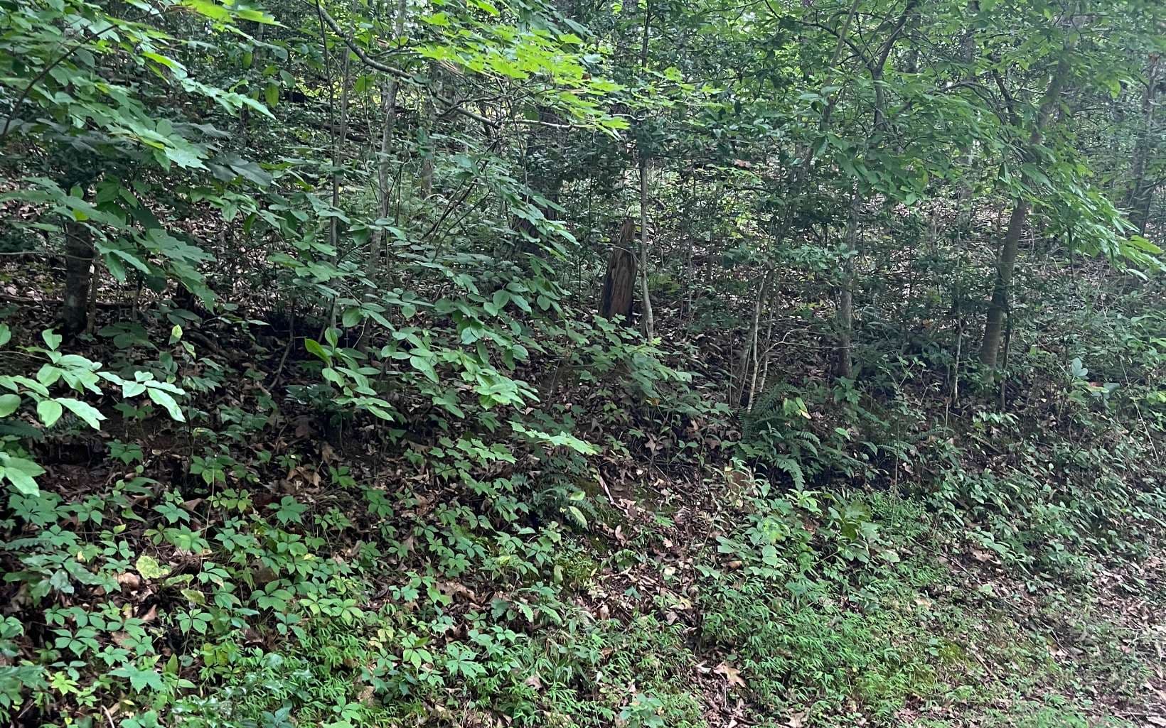 LOT 12 Kilpatrick Point Terrace, Hayesville NC 28904 - Photo