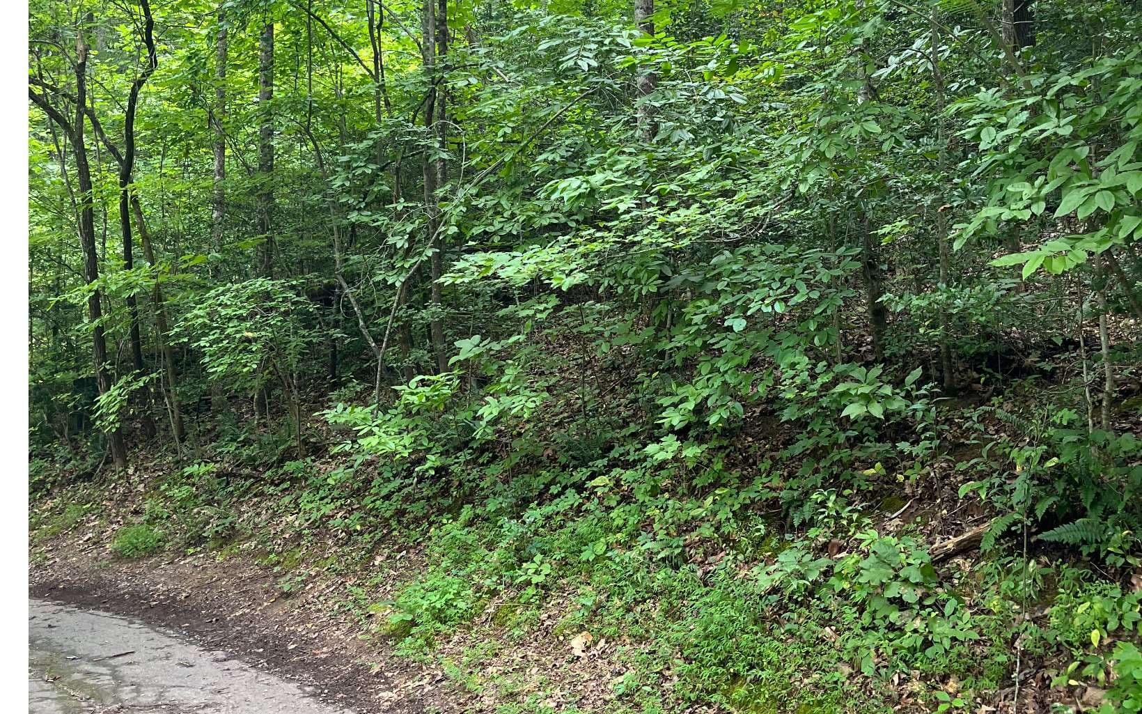 LOT 12 Kilpatrick Point Terrace, Hayesville NC 28904 - Photo