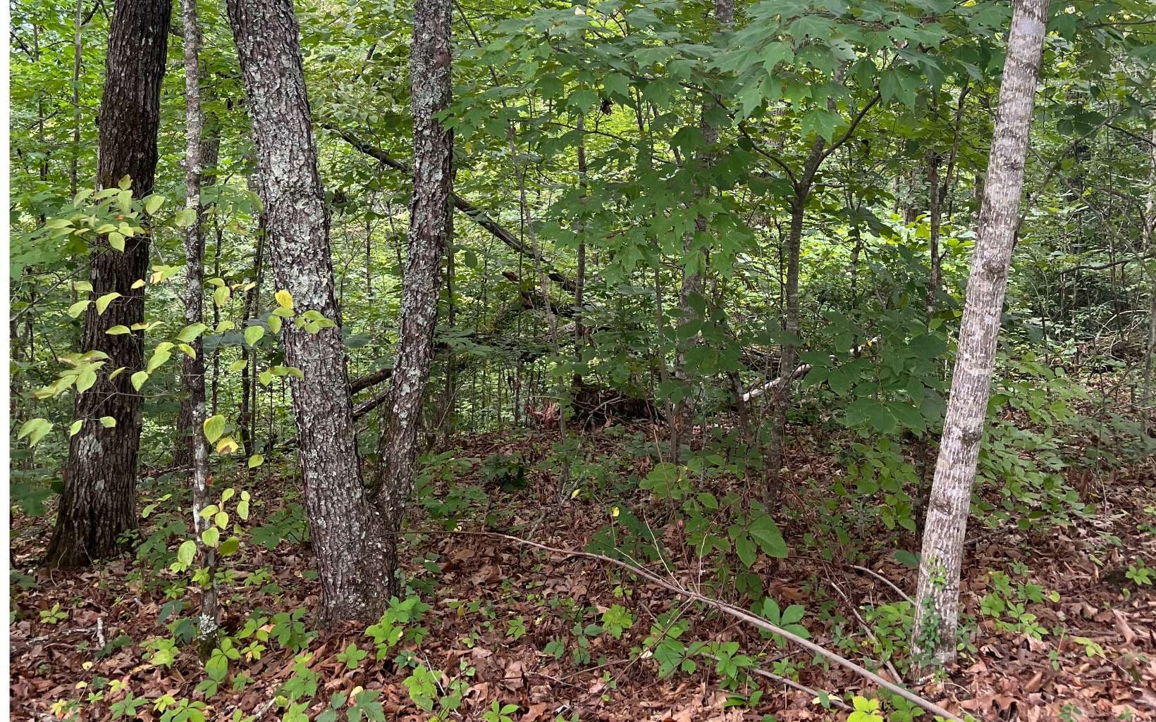 LOT 12 Kilpatrick Point Terrace, Hayesville NC 28904 - Photo