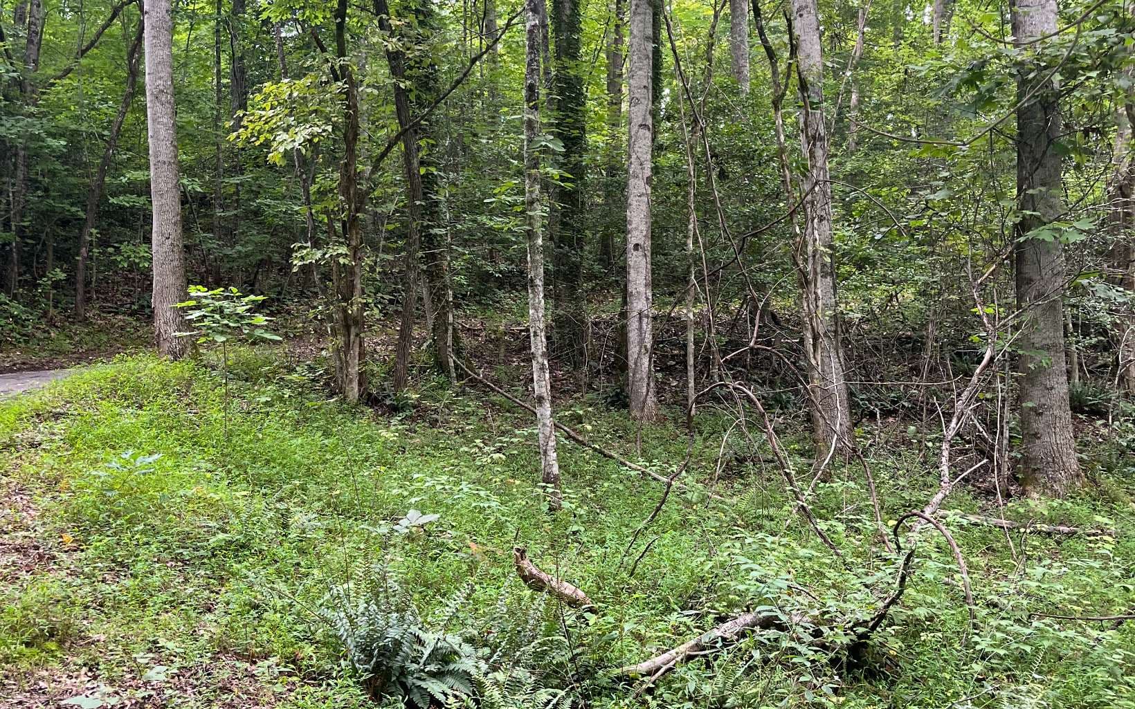 LOT 12 Kilpatrick Point Terrace, Hayesville NC 28904 - Photo