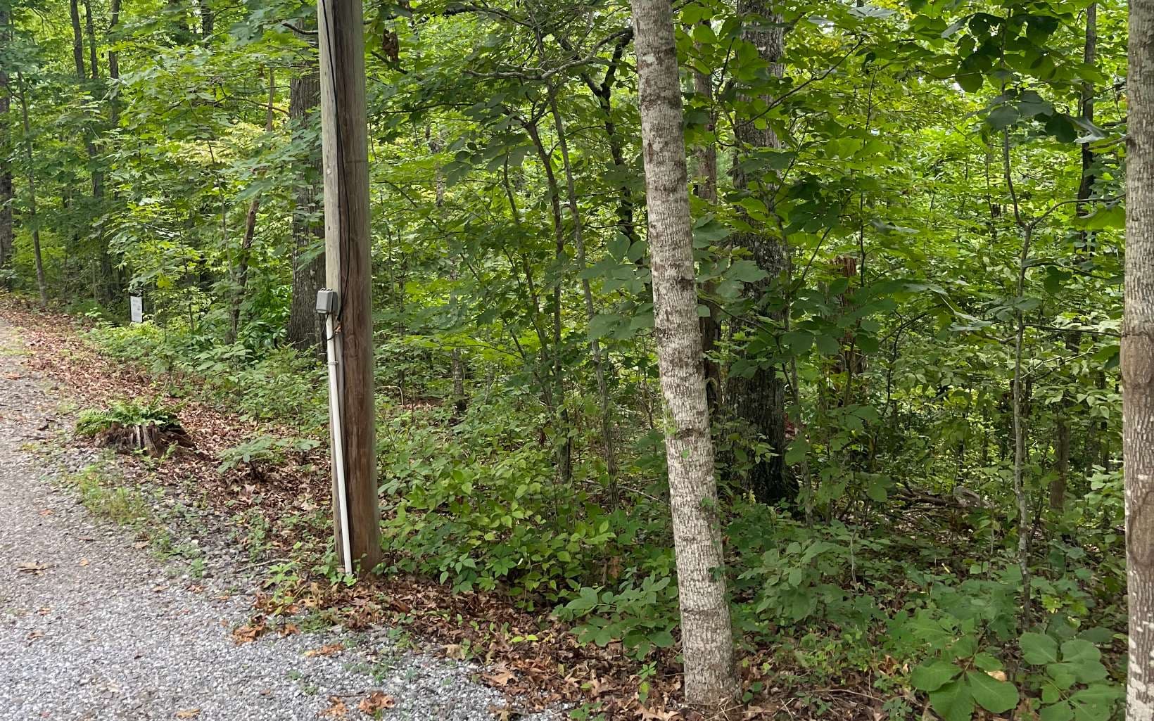 LOT 12 Kilpatrick Point Terrace, Hayesville NC 28904 - Photo