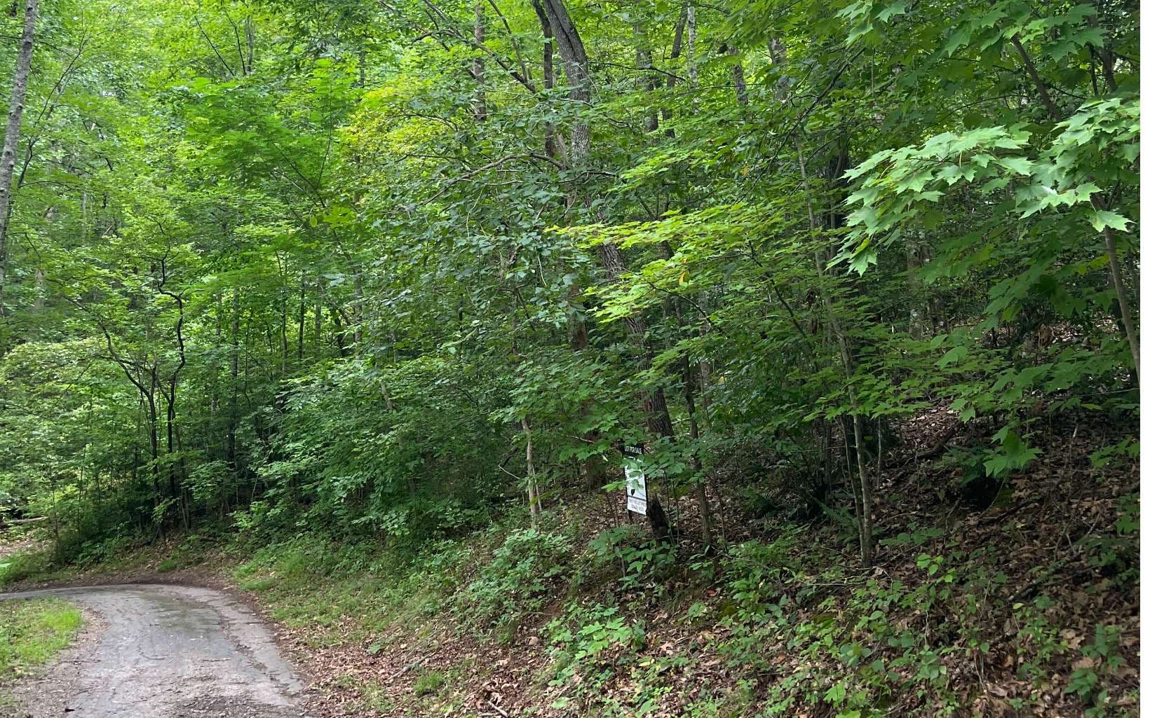 LOT 12 Kilpatrick Point Terrace, Hayesville NC 28904 - Photo