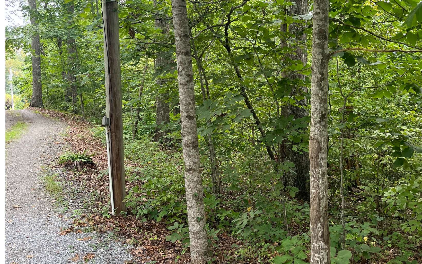 LOT 12 Kilpatrick Point Terrace, Hayesville NC 28904 - Photo