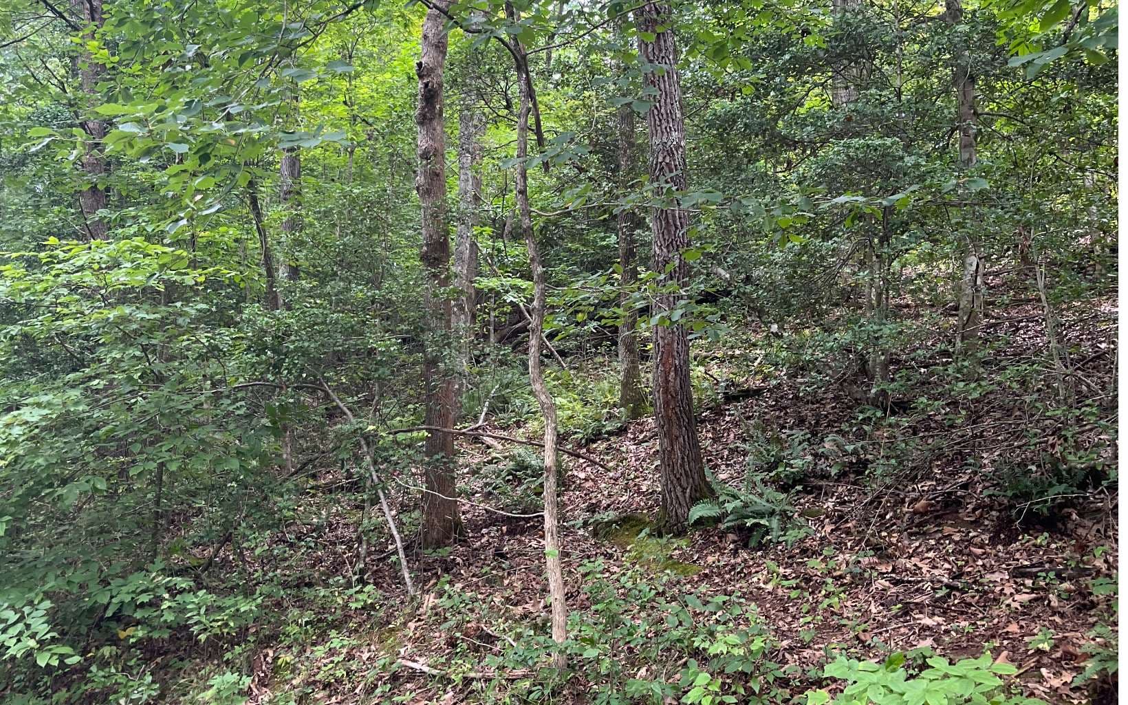 LOT 12 Kilpatrick Point Terrace, Hayesville NC 28904 - Photo