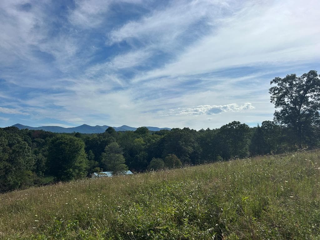 8ac Jimmy Nicholson Road, Blairsville GA 30512 - Photo