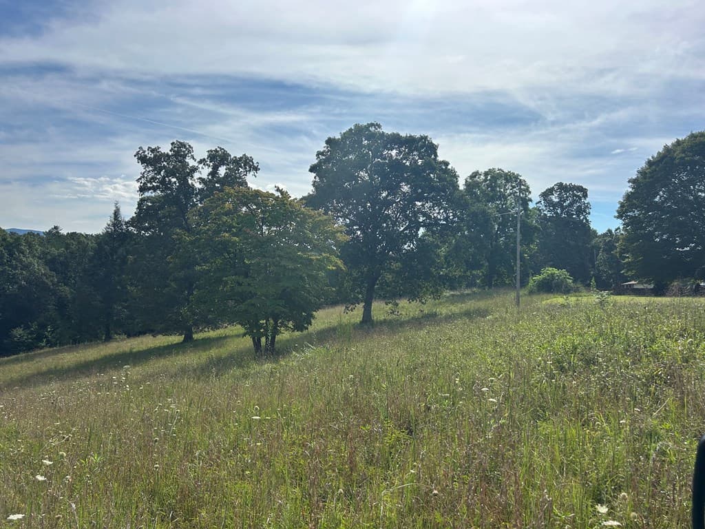 8ac Jimmy Nicholson Road, Blairsville GA 30512 - Photo