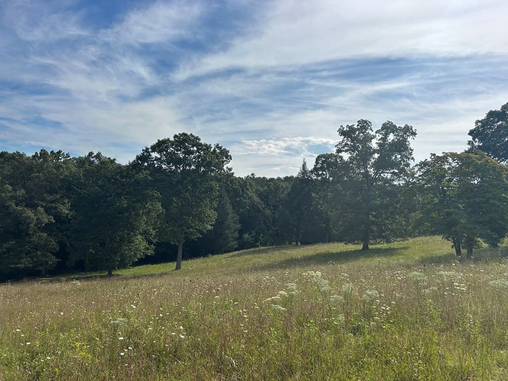 8ac Jimmy Nicholson Road, Blairsville GA 30512 - Photo