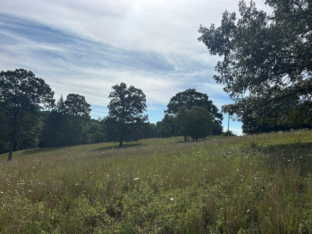 8ac Jimmy Nicholson Road, Blairsville GA 30512 - Photo