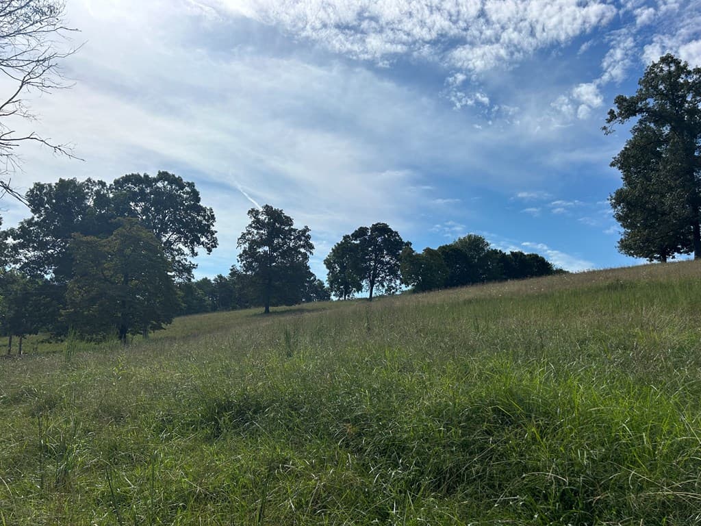 8ac Jimmy Nicholson Road, Blairsville GA 30512 - Photo