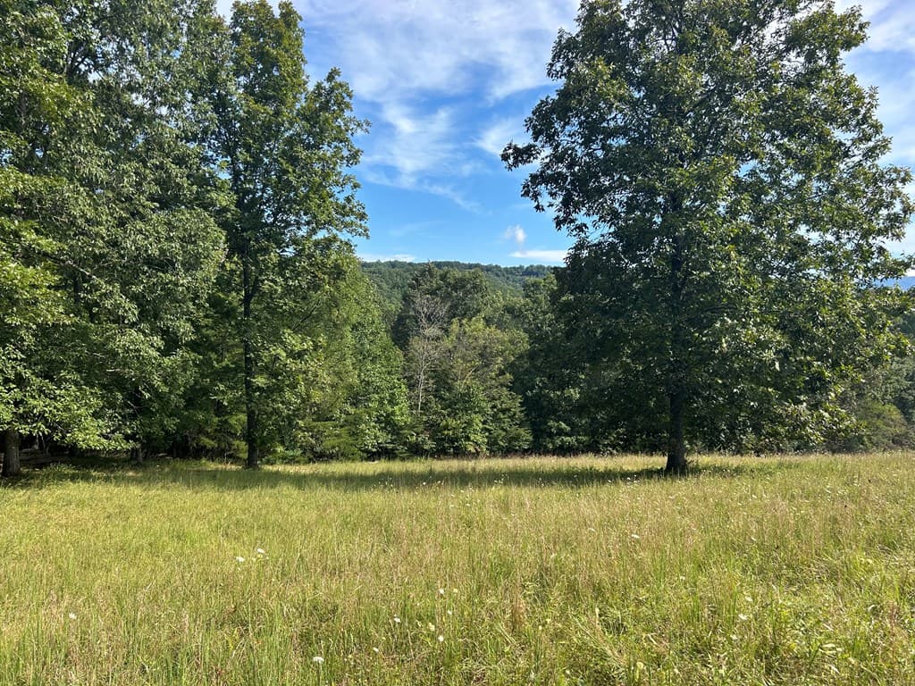 8ac Jimmy Nicholson Road, Blairsville GA 30512 - Photo