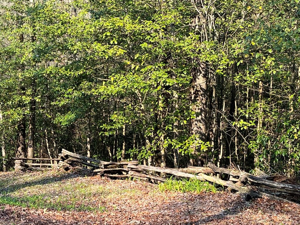 3021 Hanging Dog Road, Murphy NC 28906 - Photo