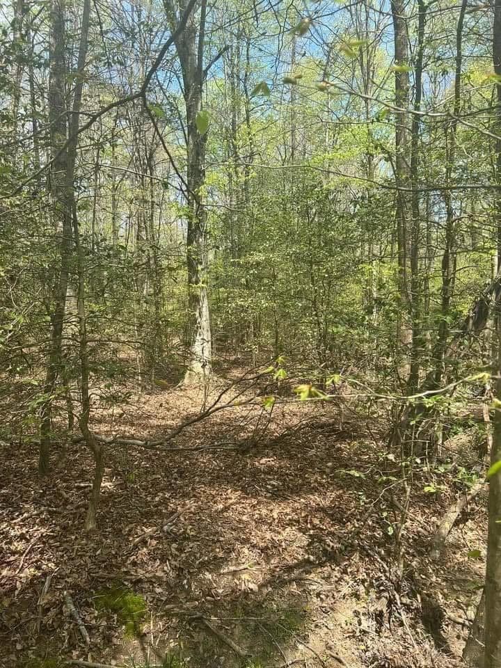 0 Holly Court, Ellijay GA 30536 - Photo