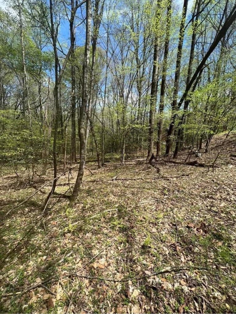 0 Holly Court, Ellijay GA 30536 - Photo