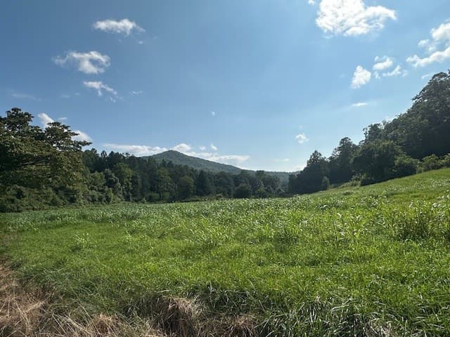 Tract 1A Thumping Creek Road, Hayesville NC 28904 - Photo
