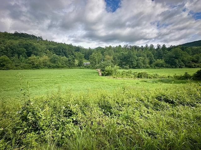 Tract 1A Thumping Creek Road, Hayesville NC 28904 - Primary photo