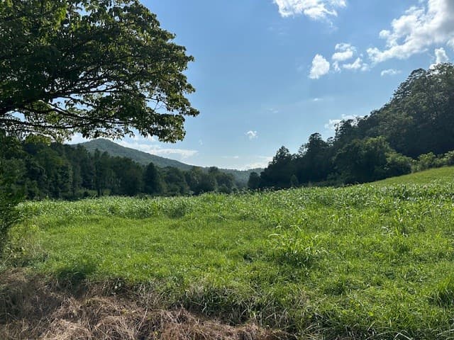 Tract 1A Thumping Creek Road, Hayesville NC 28904 - Photo