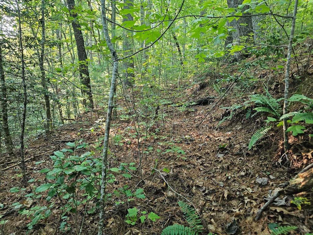0 Bates Drive, Ellijay GA 30540 - Photo