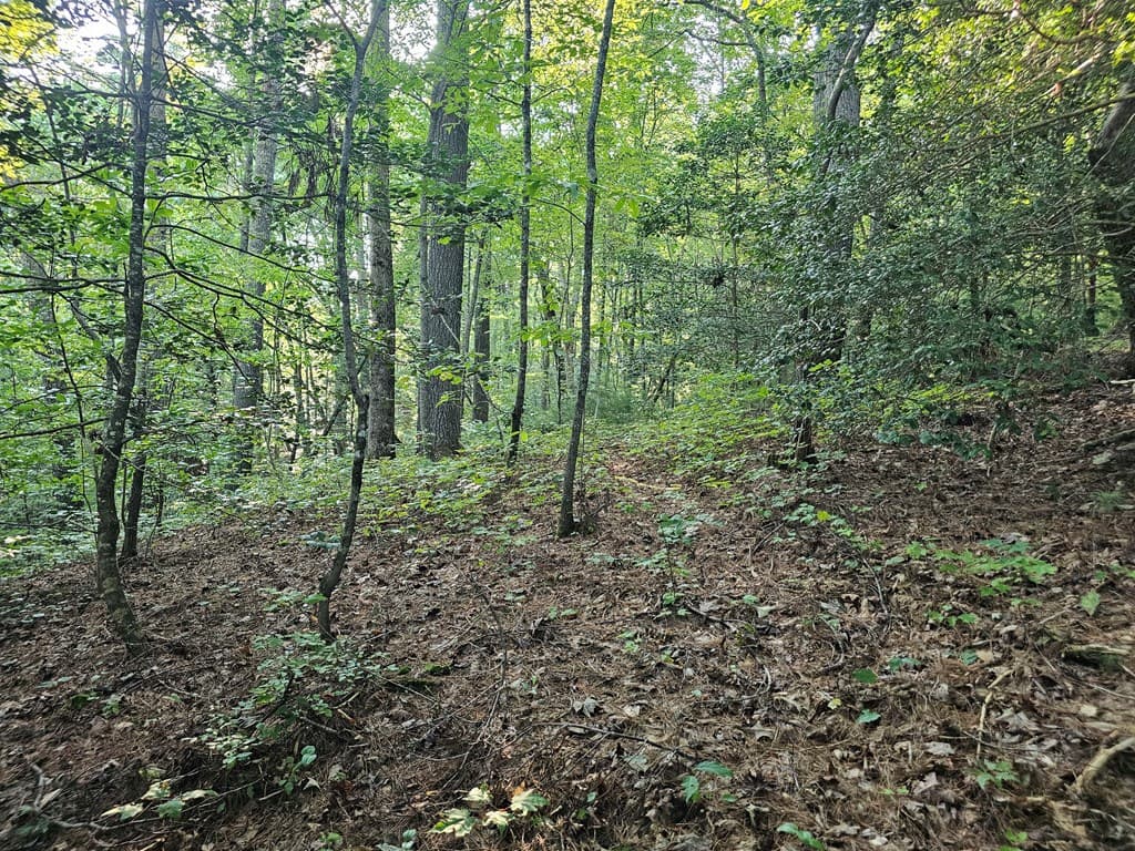0 Bates Drive, Ellijay GA 30540 - Photo