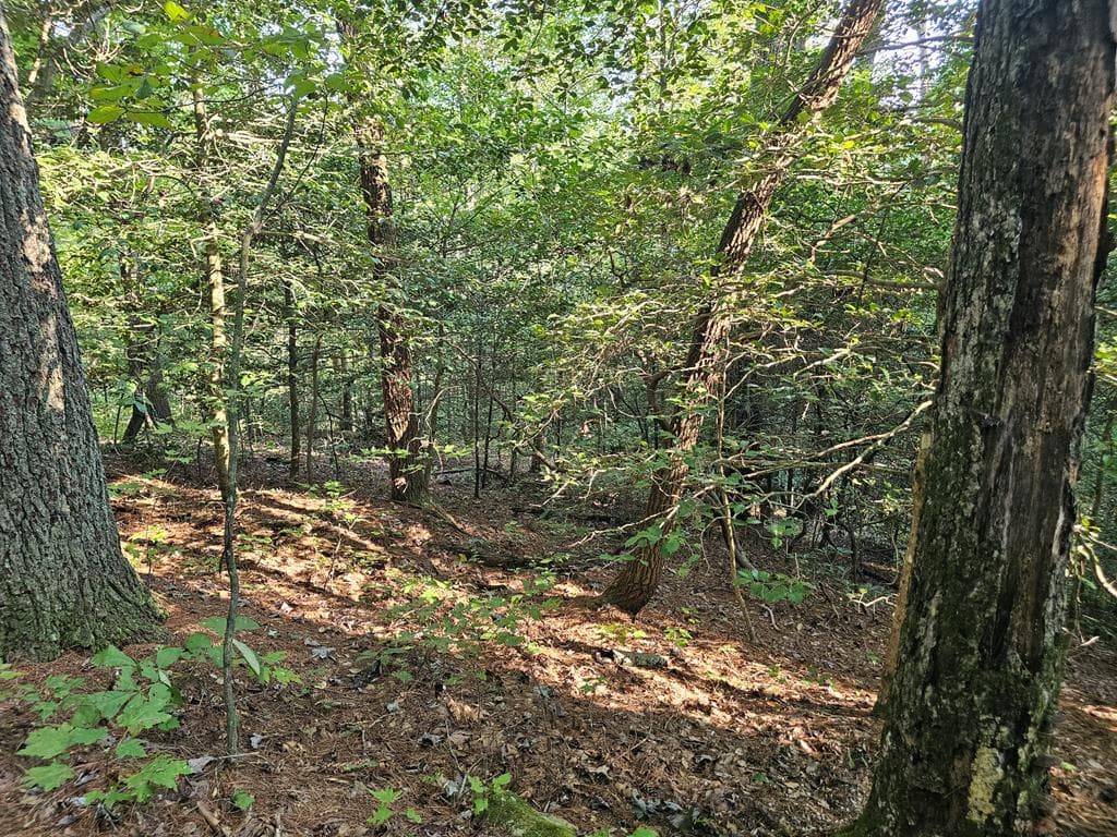 0 Bates Drive, Ellijay GA 30540 - Primary photo