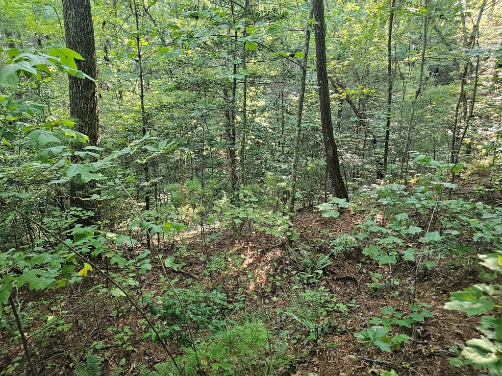 0 Bates Drive, Ellijay GA 30540 - Photo