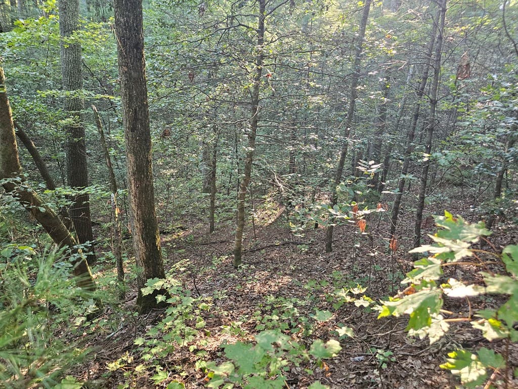 0 Bates Drive, Ellijay GA 30540 - Photo