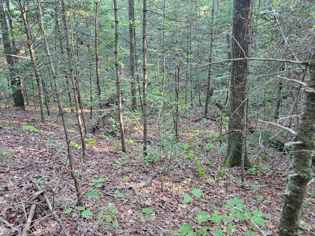 0 Bates Drive, Ellijay GA 30540 - Photo