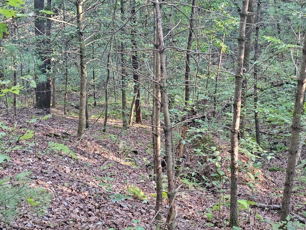 0 Bates Drive, Ellijay GA 30540 - Photo