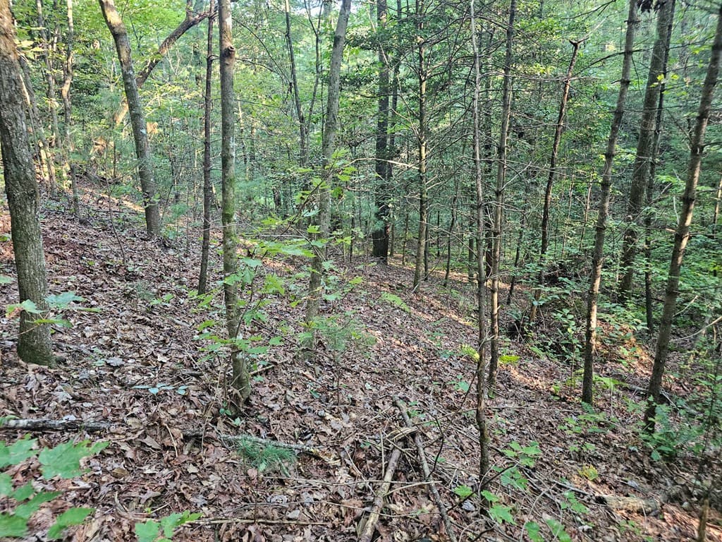 0 Bates Drive, Ellijay GA 30540 - Photo