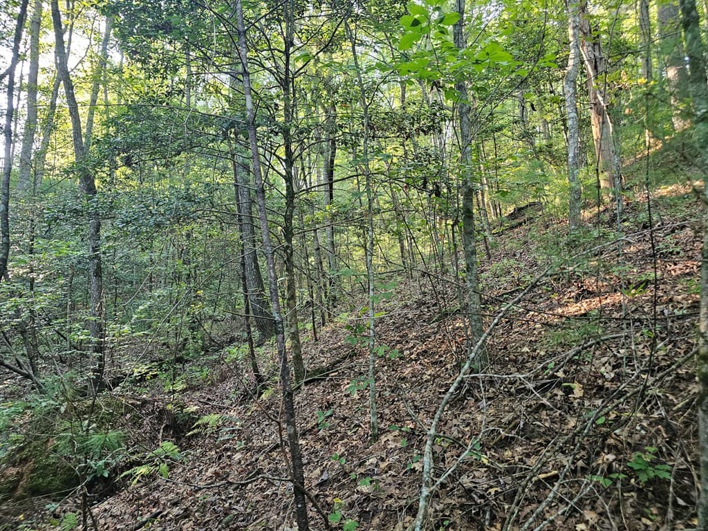 0 Bates Drive, Ellijay GA 30540 - Photo