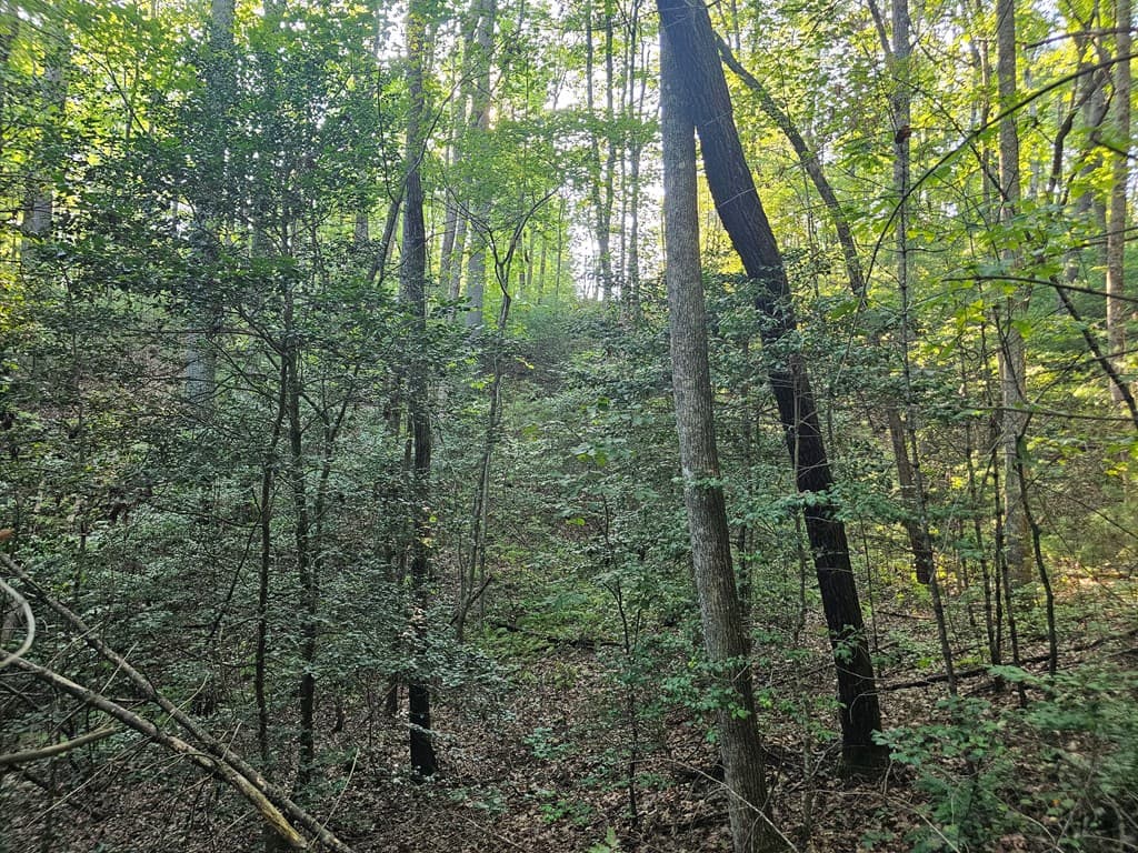 0 Bates Drive, Ellijay GA 30540 - Photo