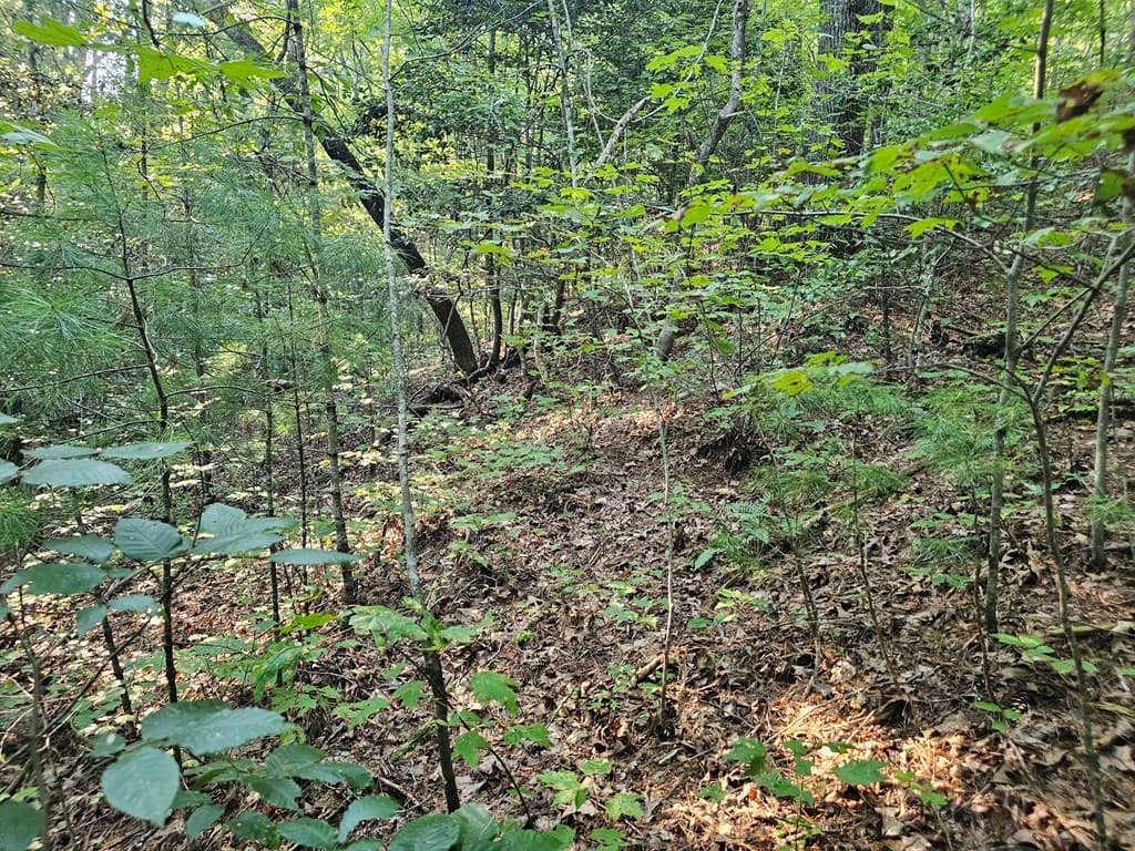 0 Bates Drive, Ellijay GA 30540 - Photo