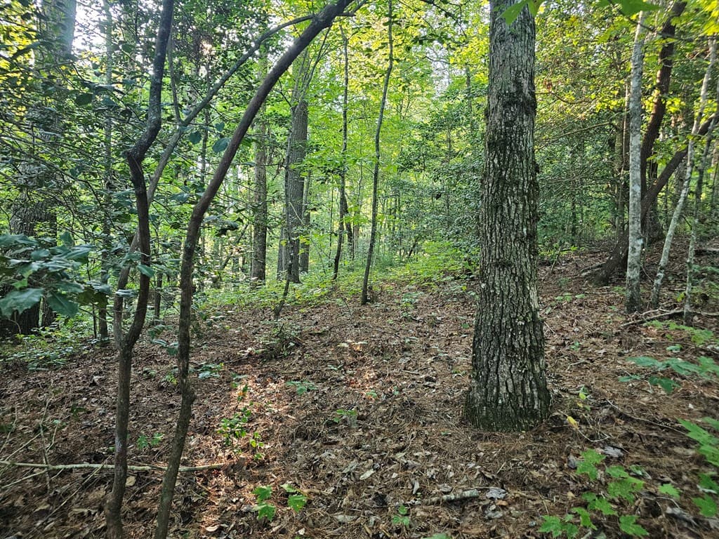 0 Bates Drive, Ellijay GA 30540 - Photo