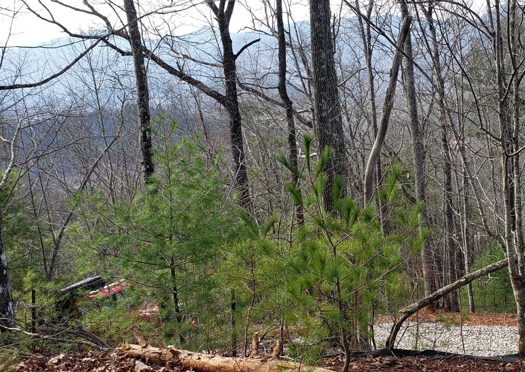 LT17 Mill Ridge Road, Hiawassee GA 30546 - Photo