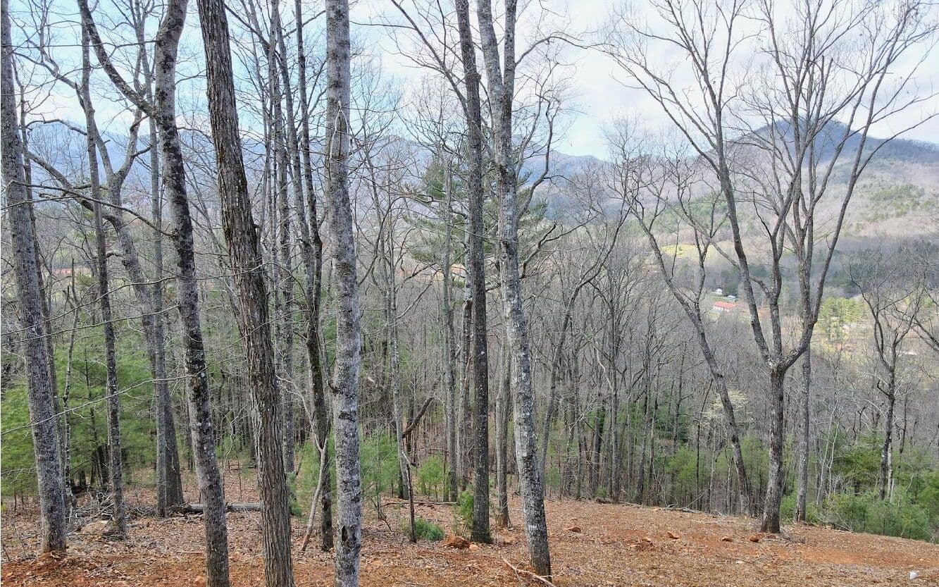LT17 Mill Ridge Road, Hiawassee GA 30546 - Photo