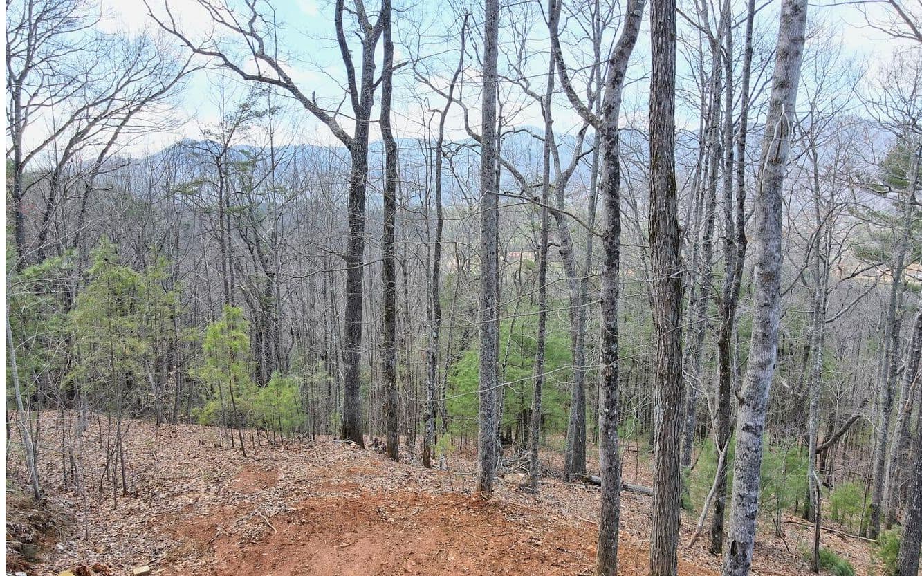 LT17 Mill Ridge Road, Hiawassee GA 30546 - Photo